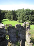 SX09314 Restormel Castle gatehouse.jpg